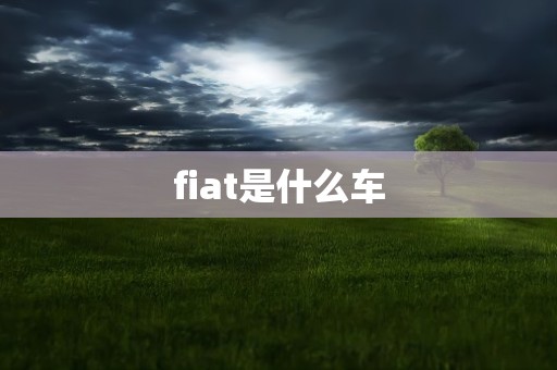 fiat是什么车