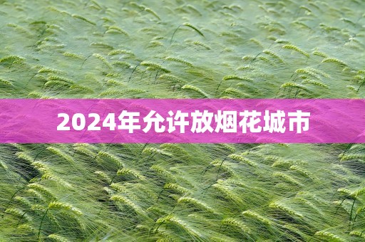 2024年允许放烟花城市