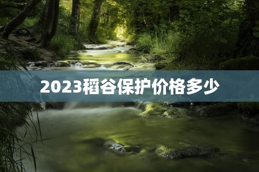 2023稻谷保护价格多少