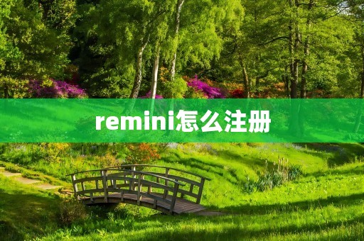 remini怎么注册