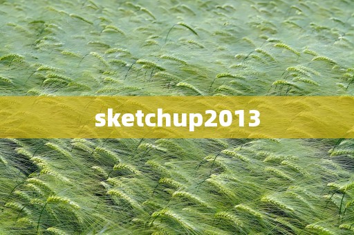 sketchup2013