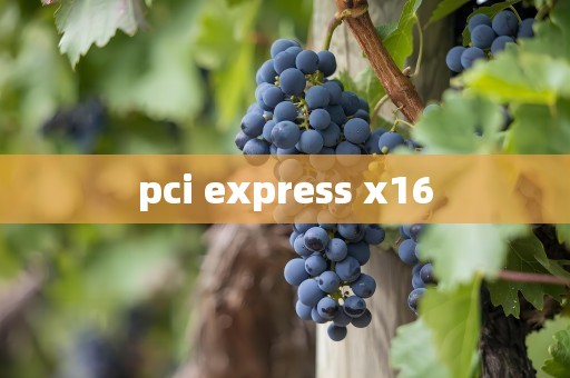 pci express x16