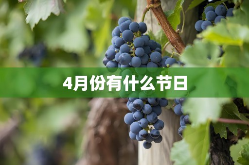 4月份有什么节日