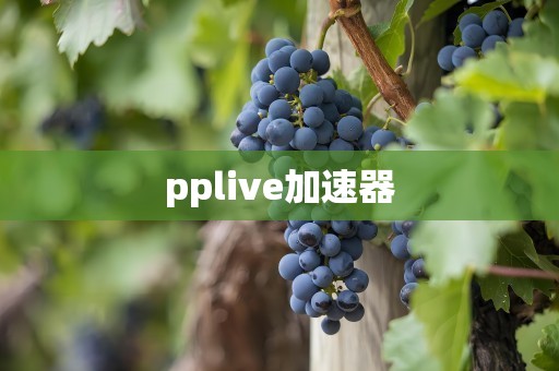 pplive加速器