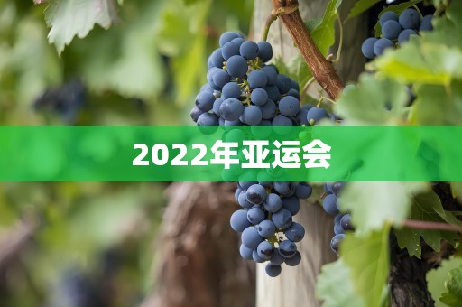 2022年亚运会