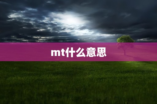 mt什么意思