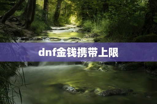 dnf金钱携带上限