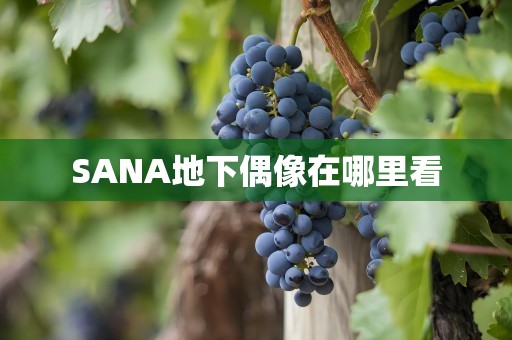 SANA地下偶像在哪里看