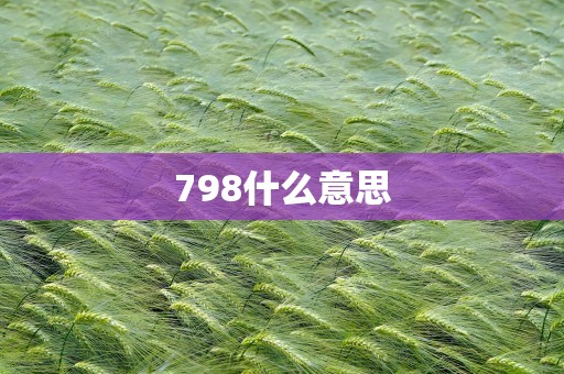 798什么意思