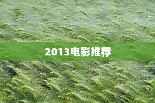 2013电影推荐