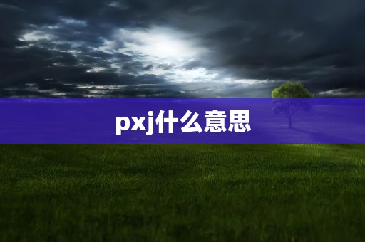 pxj什么意思