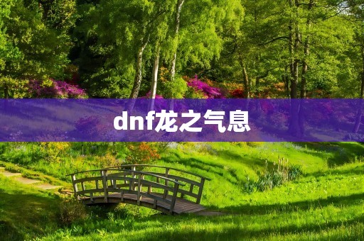 dnf龙之气息