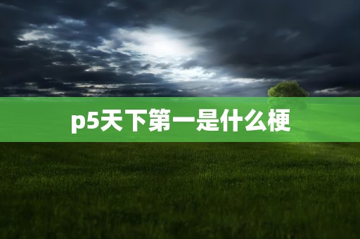 p5天下第一是什么梗