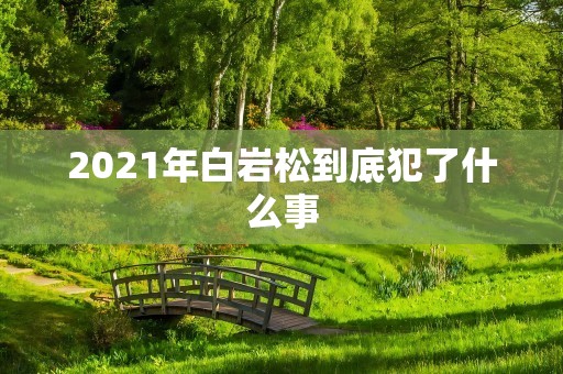 2021年白岩松到底犯了什么事