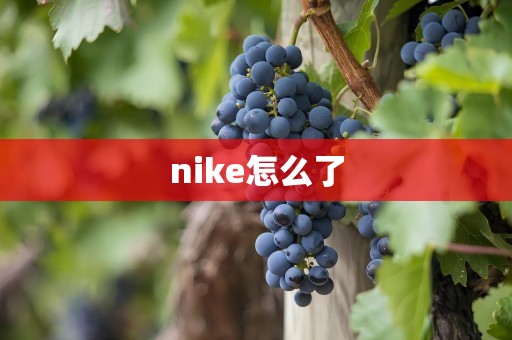 nike怎么了