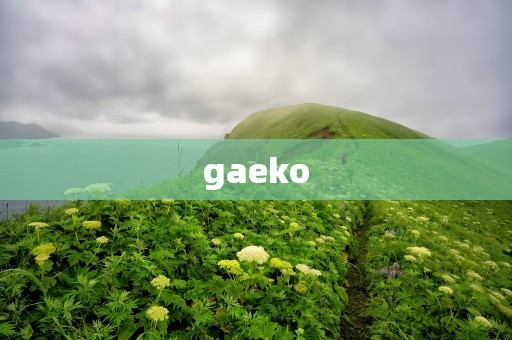 gaeko