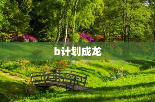 b计划成龙