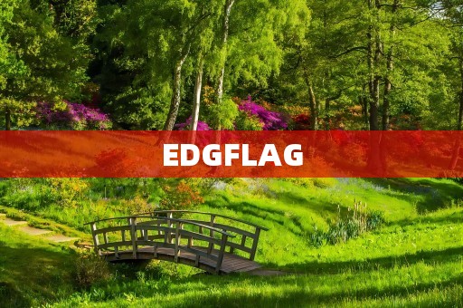 EDGFLAG