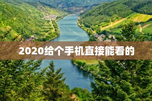 2020给个手机直接能看的