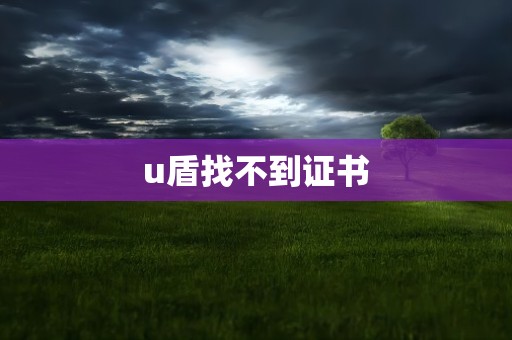 u盾找不到证书