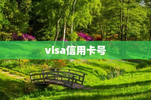 visa信用卡号