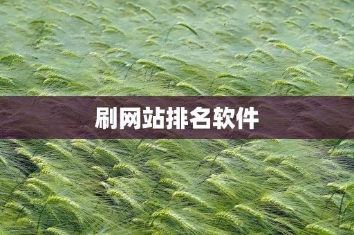 刷网站排名软件