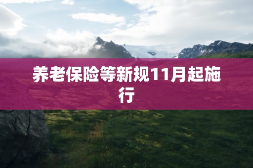 养老保险等新规11月起施行