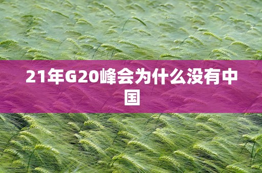 21年G20峰会为什么没有中国