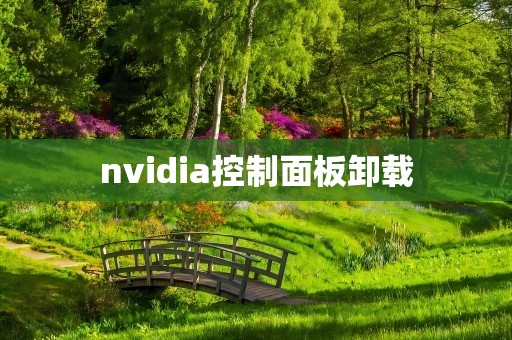 nvidia控制面板卸载