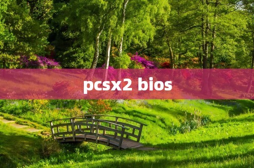 pcsx2 bios