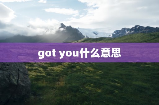 got you什么意思