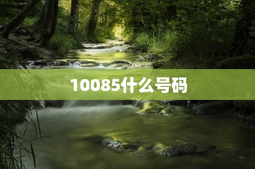 10085什么号码