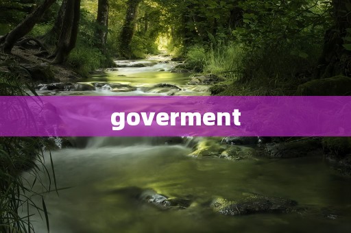 goverment