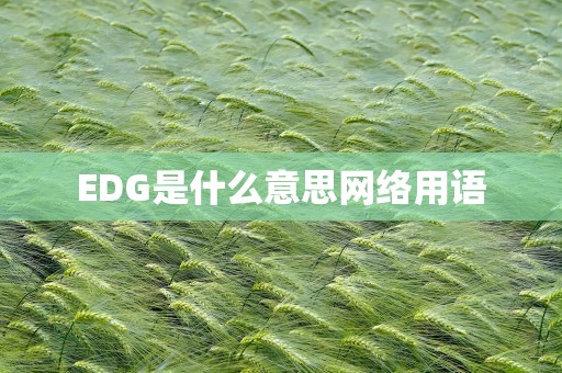 EDG是什么意思网络用语