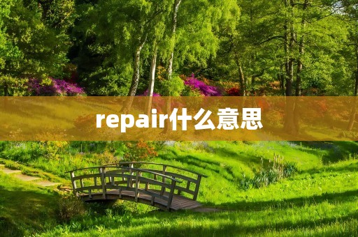 repair什么意思