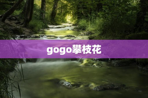 gogo攀枝花