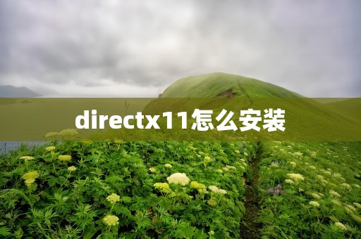 directx11怎么安装