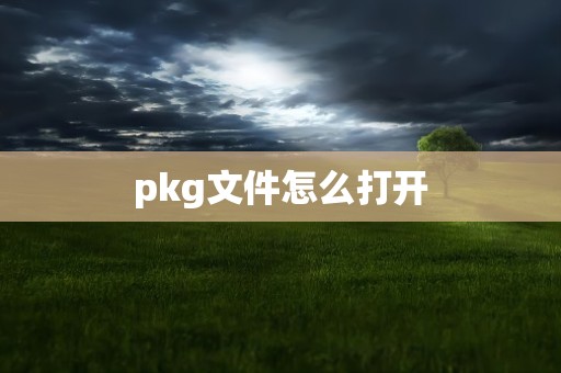 pkg文件怎么打开