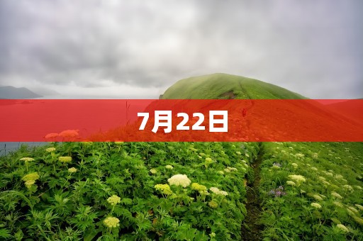 7月22日