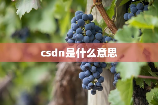 csdn是什么意思