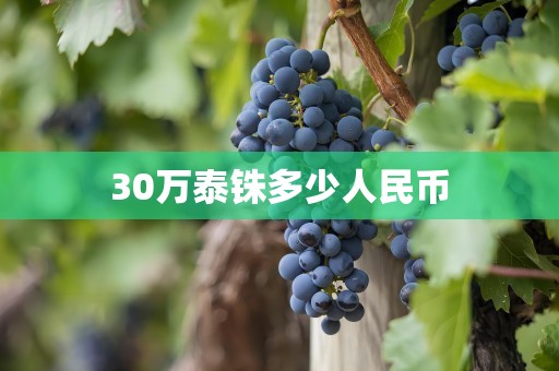 30万泰铢多少人民币