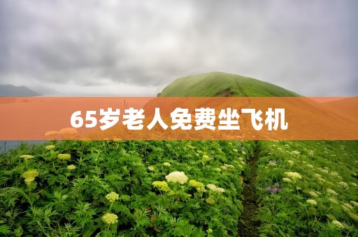 65岁老人免费坐飞机