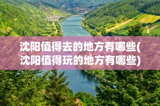 沈阳值得去的地方有哪些(沈阳值得玩的地方有哪些)