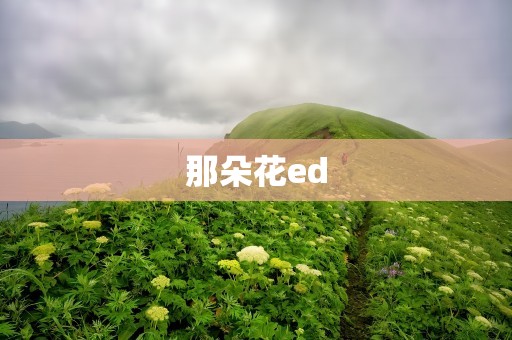 那朵花ed