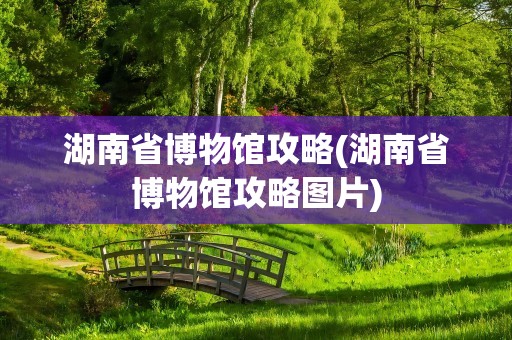 湖南省博物馆攻略(湖南省博物馆攻略图片)