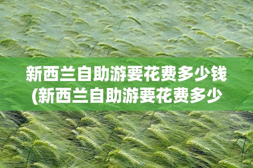 新西兰自助游要花费多少钱(新西兰自助游要花费多少钱呢)