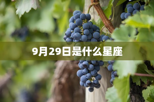 9月29日是什么星座