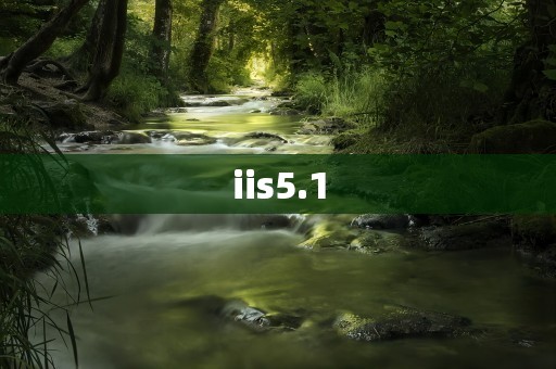 iis5.1