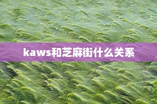 kaws和芝麻街什么关系