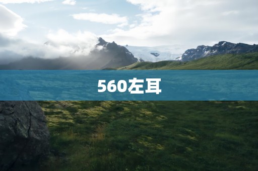 560左耳